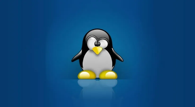 6 Erros Que Os Novos Usuários De Linux Cometem
