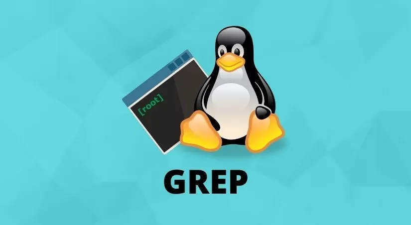 Grep Linux