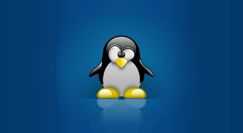 6 Erros Que Os Novos Usuários De Linux Cometem