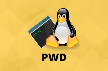 Команда pwd в linux