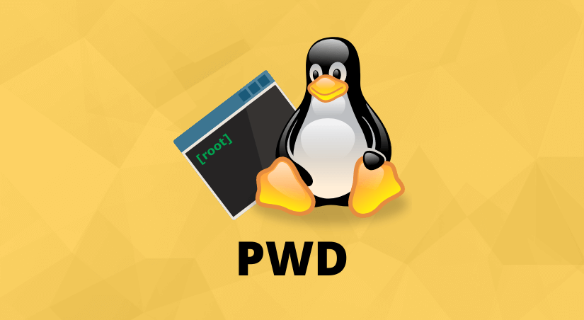 Comando pwd Linux
