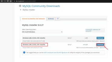 Como Instalar MySQL 8.0 e MySQL Workbench No Windows