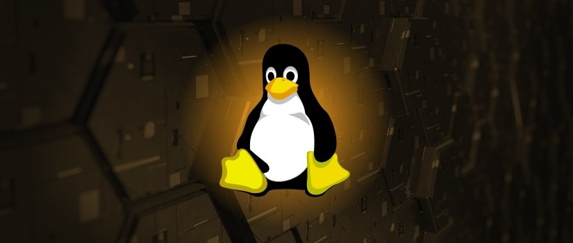 como remover pastas no terminal Linux